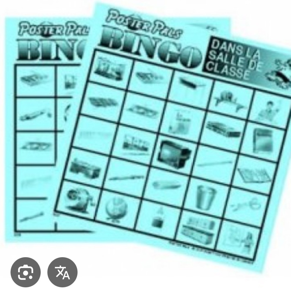 French Teacher Resources Bundle Like New - Picture 7 of 16